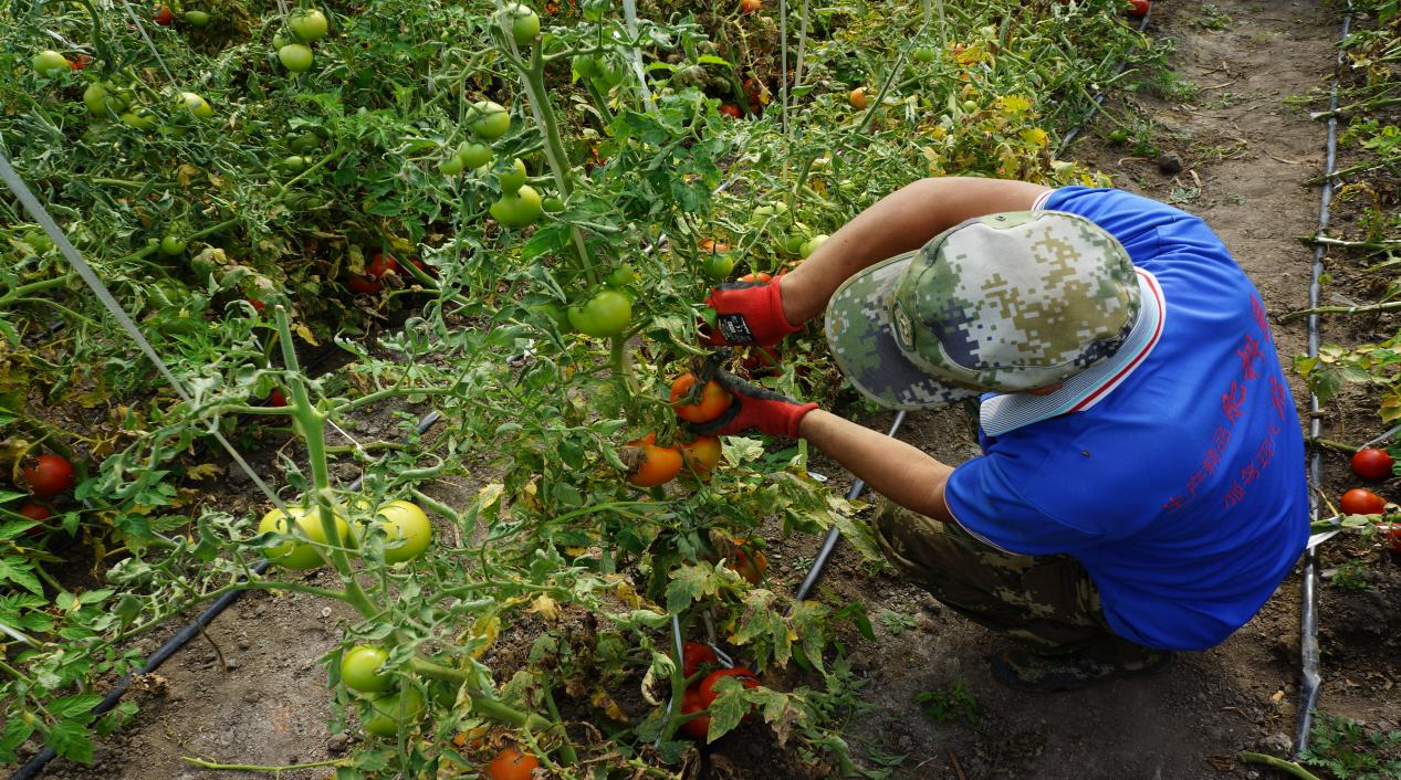 1711006625498884.png 圖片11.png